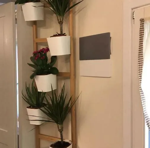 Badia * مودينا